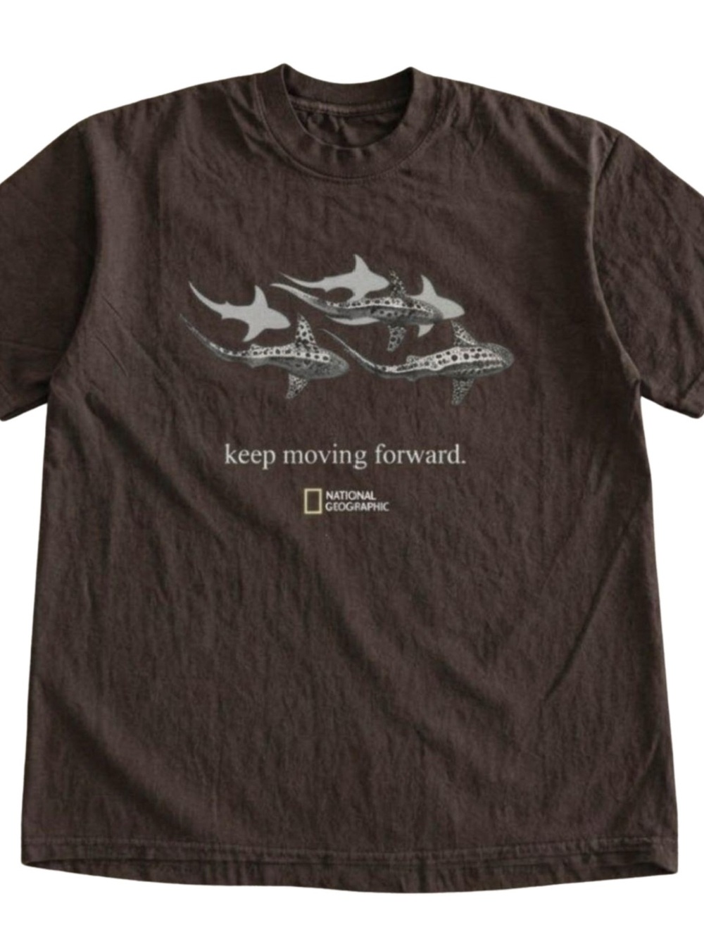 Gildan National Geographic Brown Tee with Shark Pod Graphic